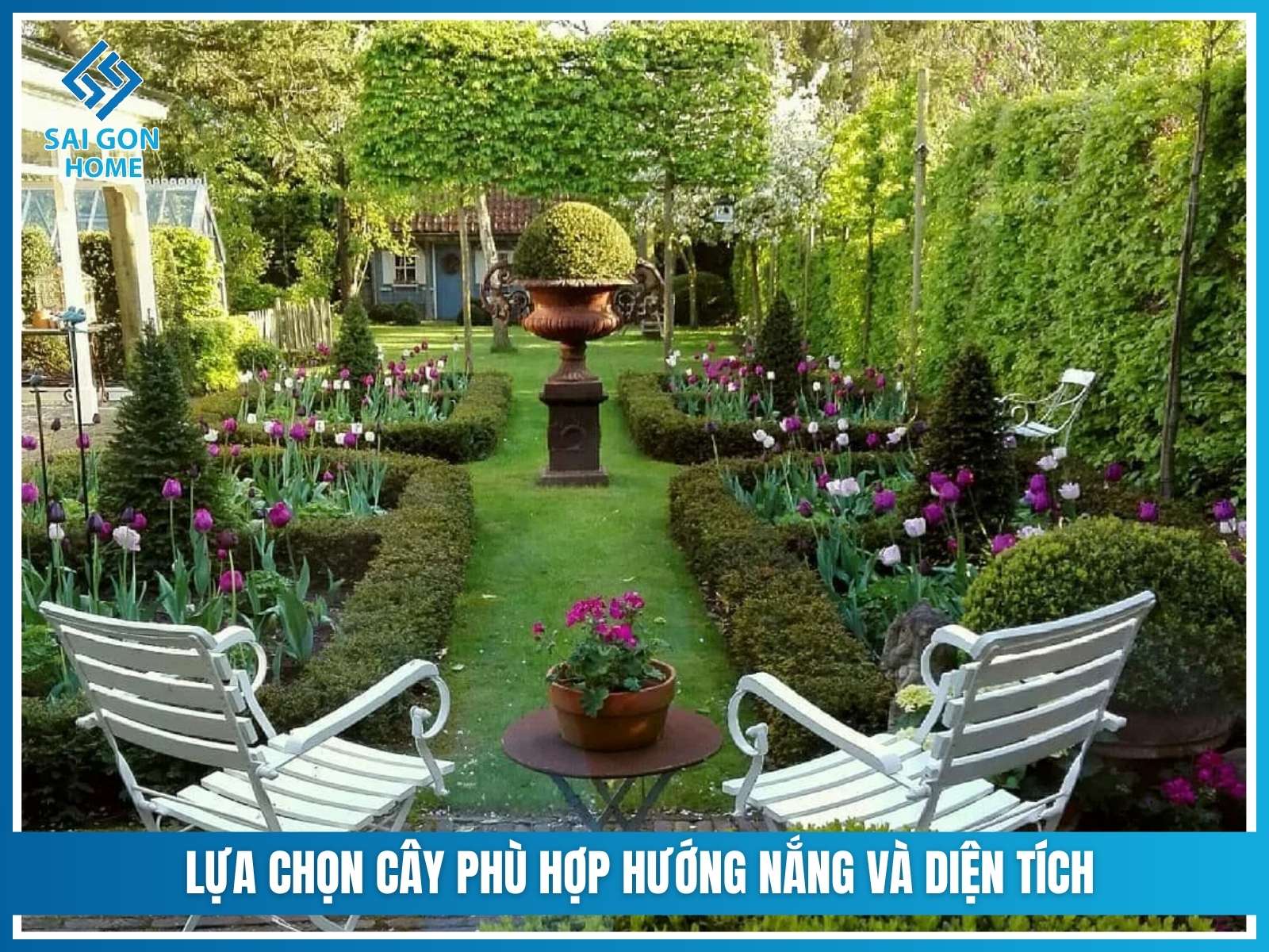Lựa chọn cây phù hợp hướng nắng và diện tích