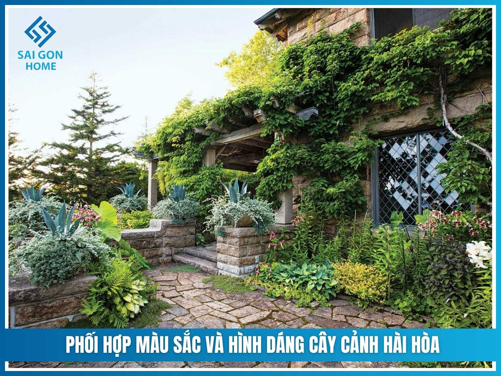 Phối hợp màu sắc và hình dáng hài hòa