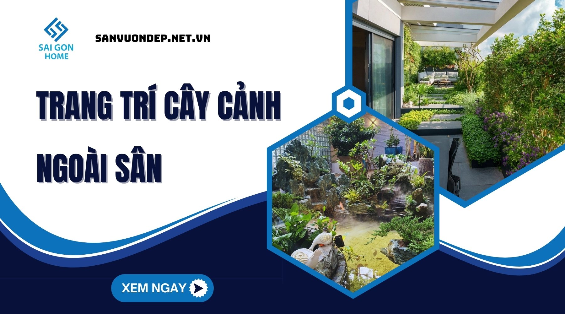 20+ ý tưởng trang trí cây cảnh ngoài sân hợp PHONG THỦY