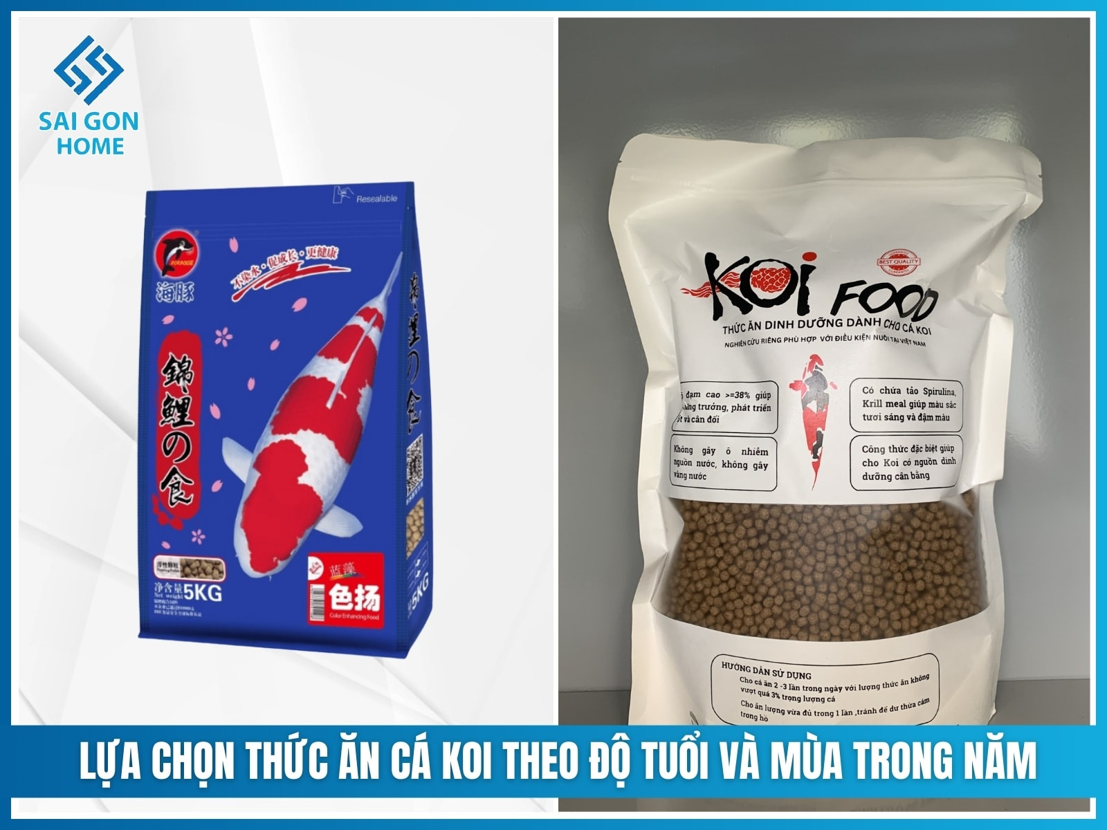 Các loại thức ăn cho cá koi giúp cá KHỎE và lên màu đẹp 11 Lựa chọn thức ăn cá koi theo độ tuổi và mùa trong năm