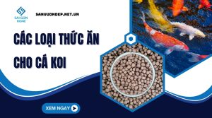 Các loại thức ăn cho cá koi giúp cá KHỎE và lên màu đẹp