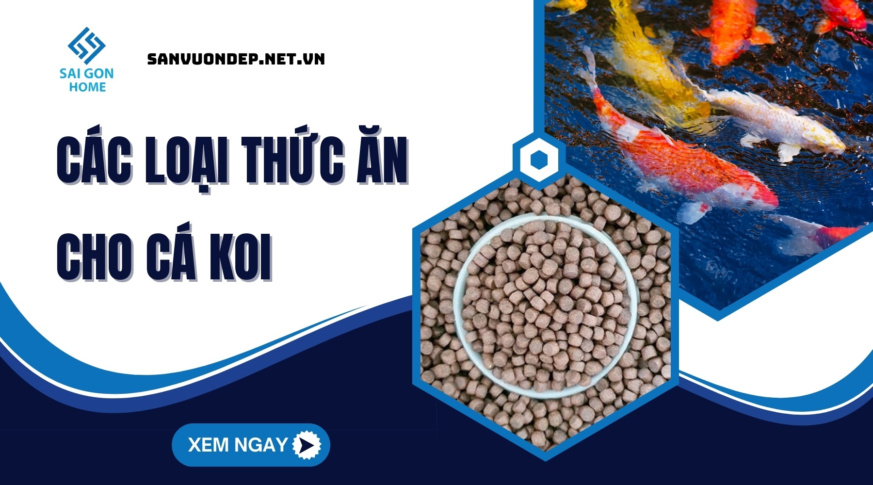 Các loại thức ăn cho cá koi giúp cá KHỎE và lên màu đẹp 8 Các loại thức ăn cho cá koi giúp cá KHỎE và lên màu đẹp