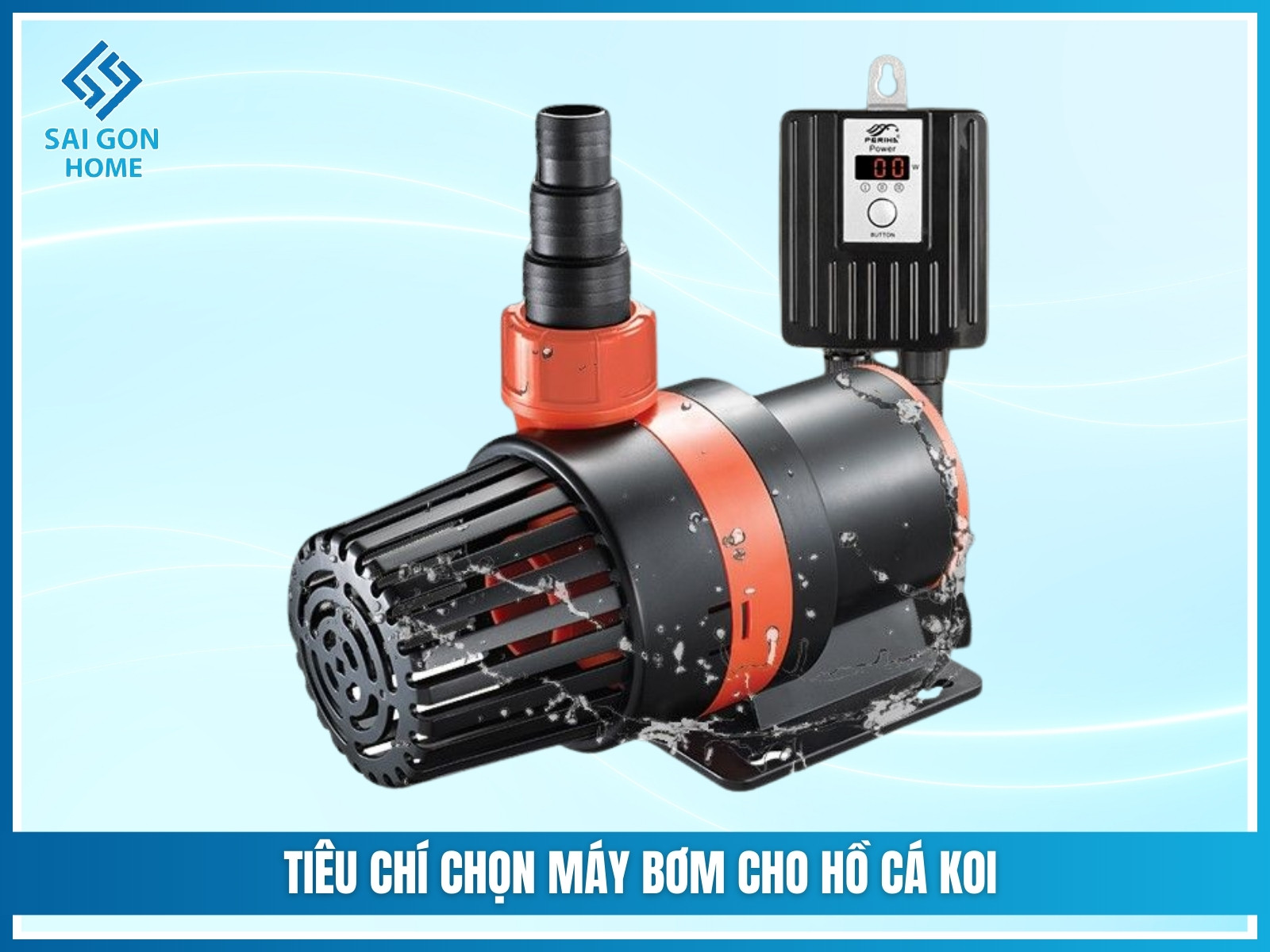 Cách chọn máy bơm cho hồ cá koi CHUẨN XÁC tiết kiệm điện 9 Tiêu chí chọn máy bơm cho hồ cá koi