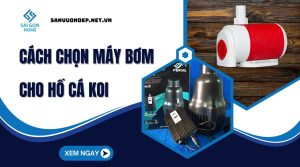 Cách chọn máy bơm cho hồ cá koi CHUẨN XÁC tiết kiệm điện