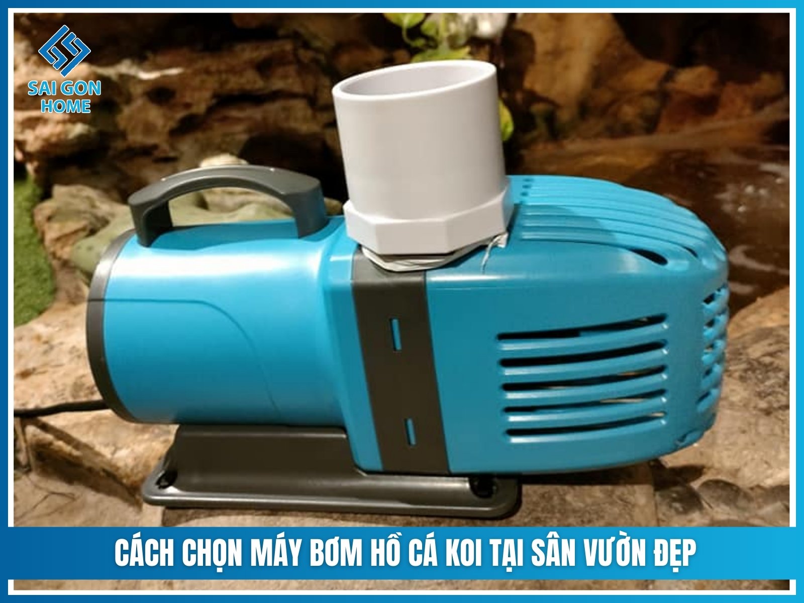 Cách chọn máy bơm cho hồ cá koi CHUẨN XÁC tiết kiệm điện 14 Cách chọn máy bơm tại SÂN VƯỜN ĐẸP