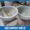 Chậu Composite nuôi cá