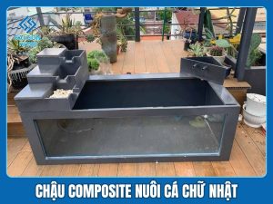 Chậu composite nuôi cá chữ nhật