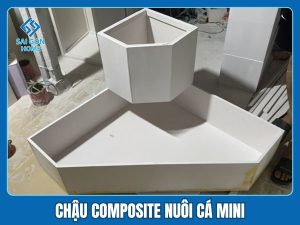 Chậu composite nuôi cá mini