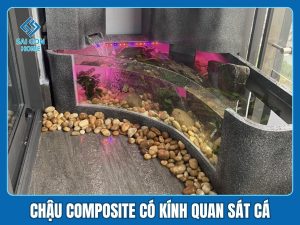 Chậu composite có kính quan sát cá