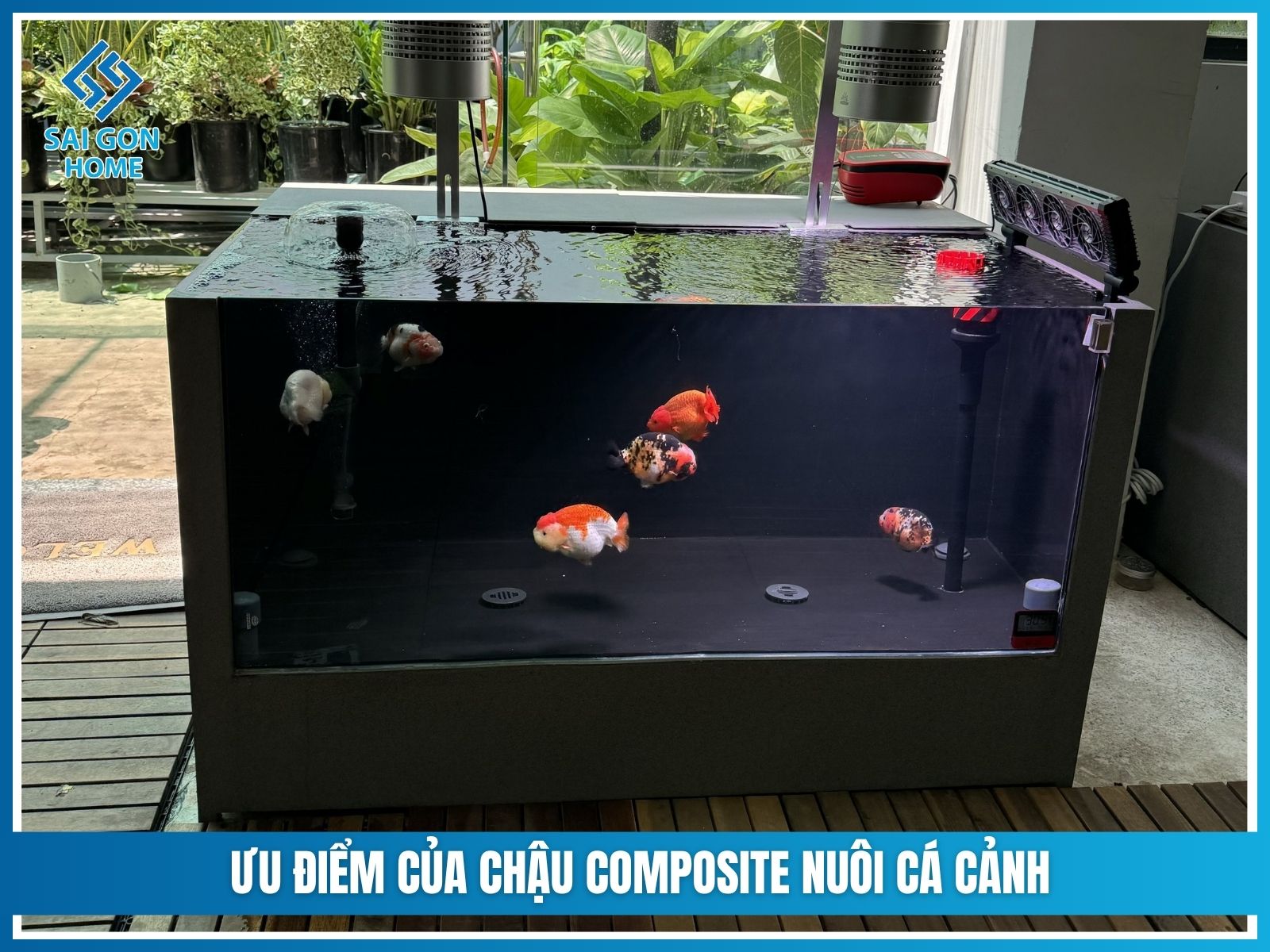 Ưu điểm của chậu composite nuôi cá cảnh