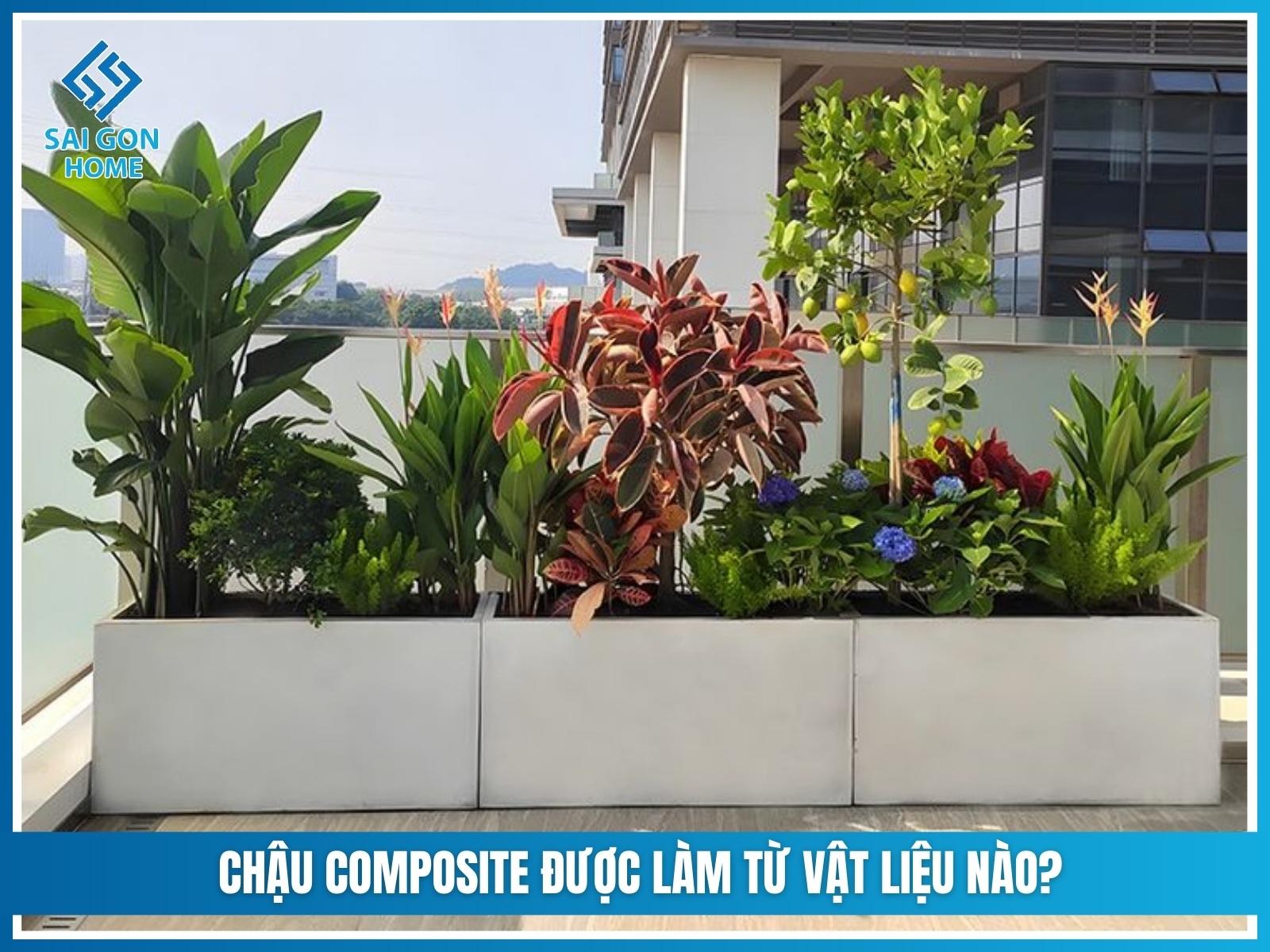 Chậu composite có an toàn cho cây trồng? GIẢI ĐÁP 9 Chậu composite được làm từ vật liệu nào?
