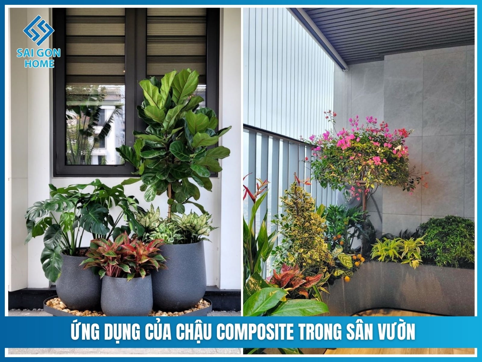 Chậu composite có an toàn cho cây trồng? GIẢI ĐÁP 12 Ứng dụng của chậu composite trong sân vườn