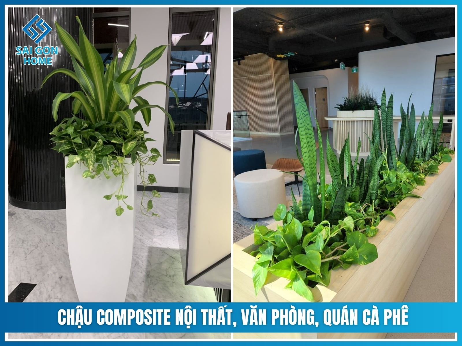 Chậu composite là gì? Ưu nhược điểm & CÁCH CHỌN 9 Chậu composite nội thất, văn phòng, quán cà phê