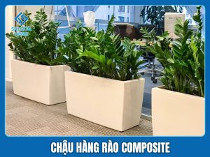 Chậu hàng rào Composite 1 Chậu hàng rào Composite