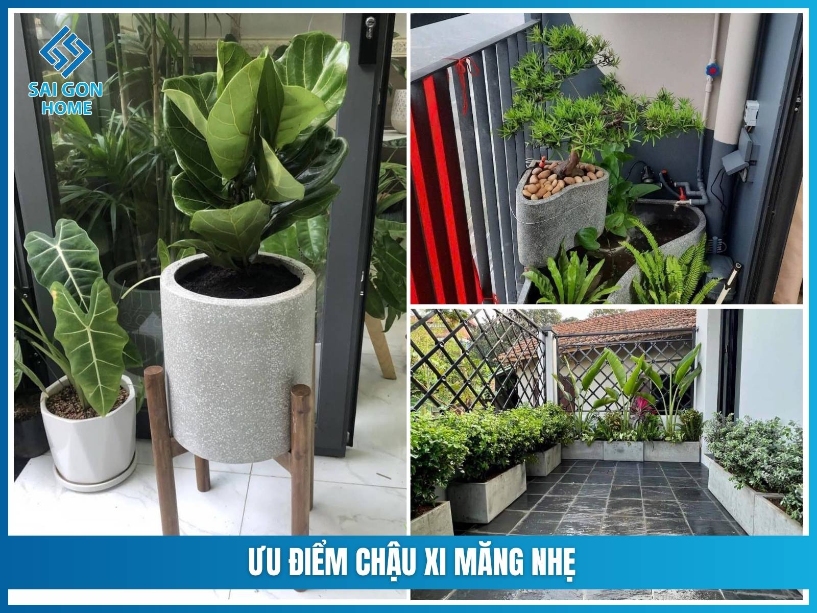 Chậu xi măng nhẹ 11 Ưu điểm chậu xi măng nhẹ