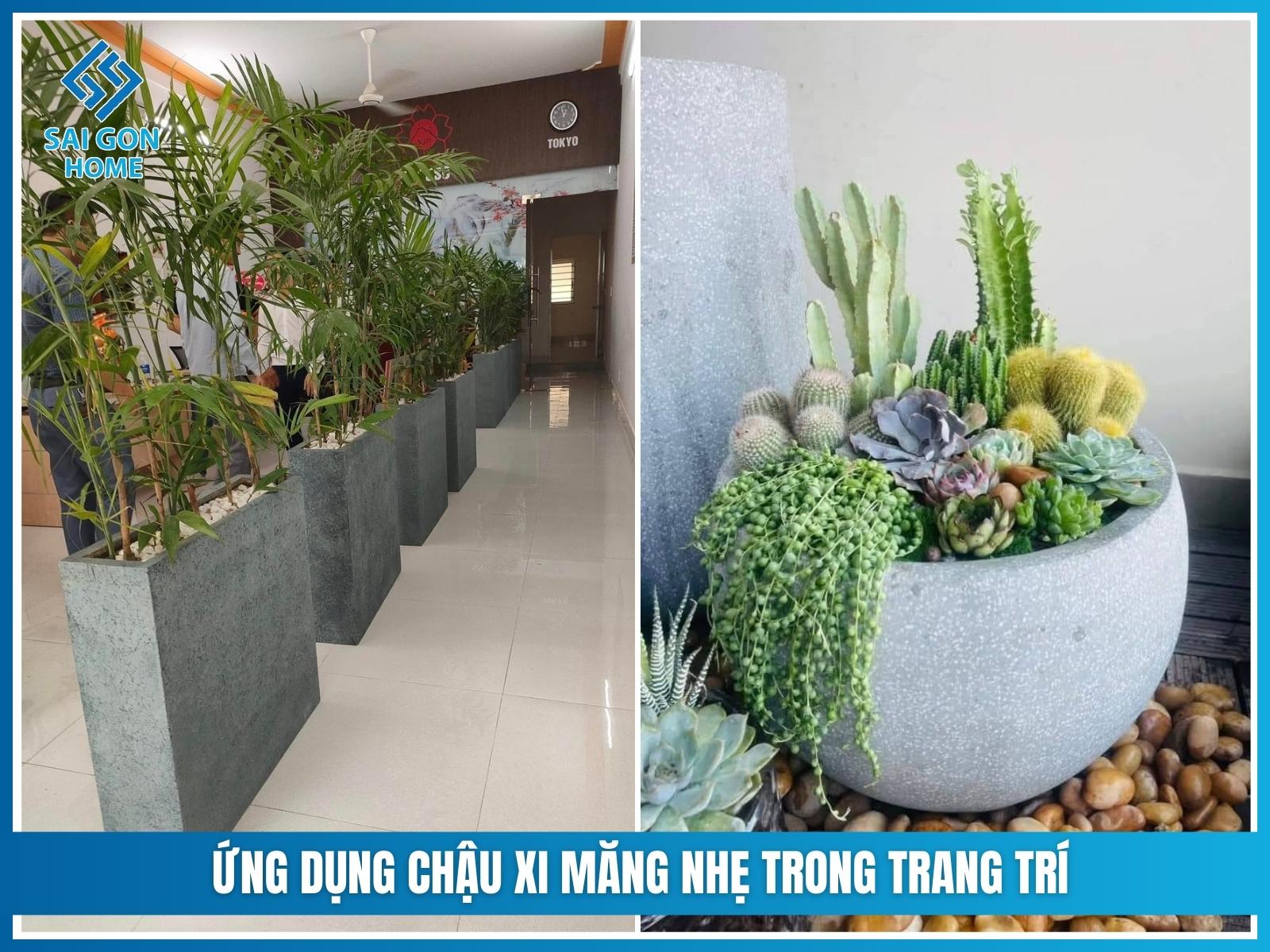 Chậu xi măng nhẹ 16 Ứng dụng chậu xi măng nhẹ trong trang trí