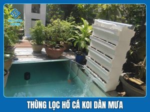 Thùng lọc hồ cá koi 3 Thùng lọc hồ cá koi dàn mưa Bakki Shower