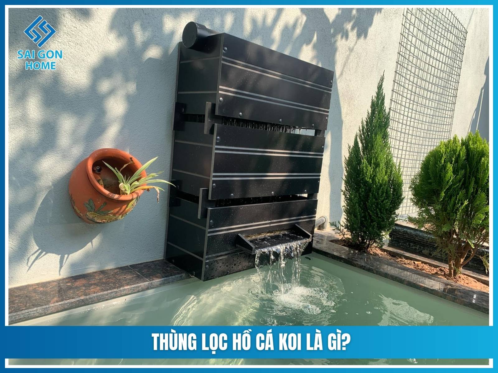 Thùng lọc hồ cá koi 6 Thùng lọc hồ cá koi là gì?