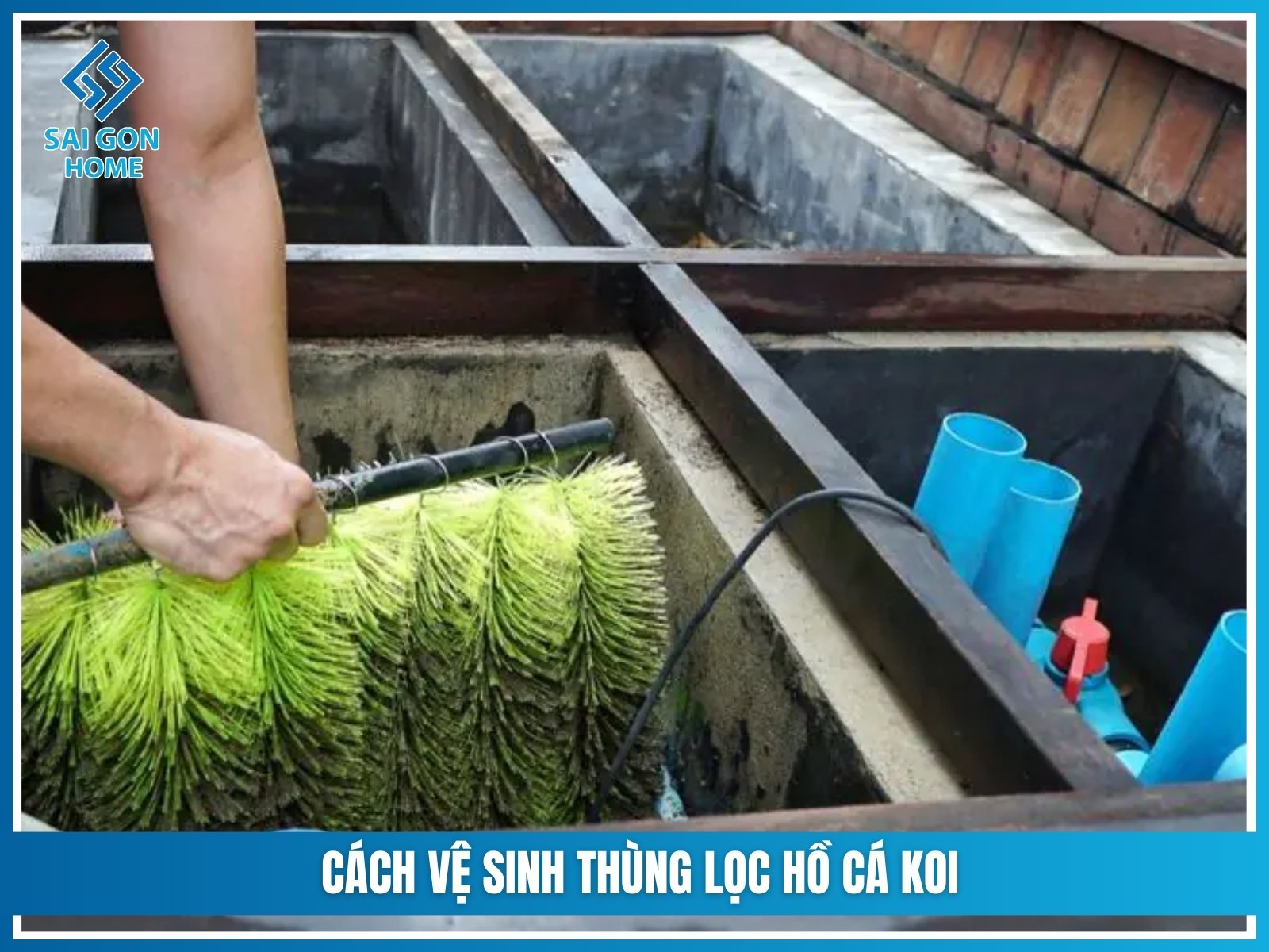 Thùng lọc hồ cá koi 11 Cách vệ sinh thùng lọc hồ cá koi