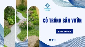 Các loại cỏ trồng sân vườn đẹp được ƯA CHUỘNG hiện nay