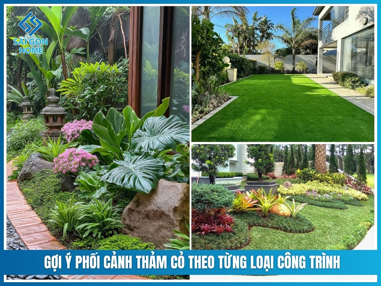 Các loại cỏ trồng sân vườn đẹp được ƯA CHUỘNG hiện nay 17 Gợi ý phối cảnh thảm cỏ theo từng loại công trình