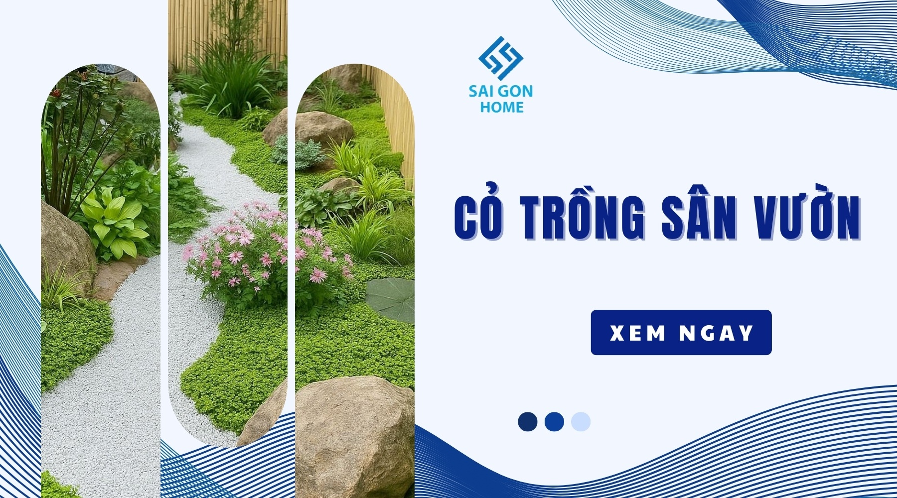 Các loại cỏ trồng sân vườn đẹp được ƯA CHUỘNG hiện nay 10 Các loại cỏ trồng sân vườn đẹp được ƯA CHUỘNG hiện nay