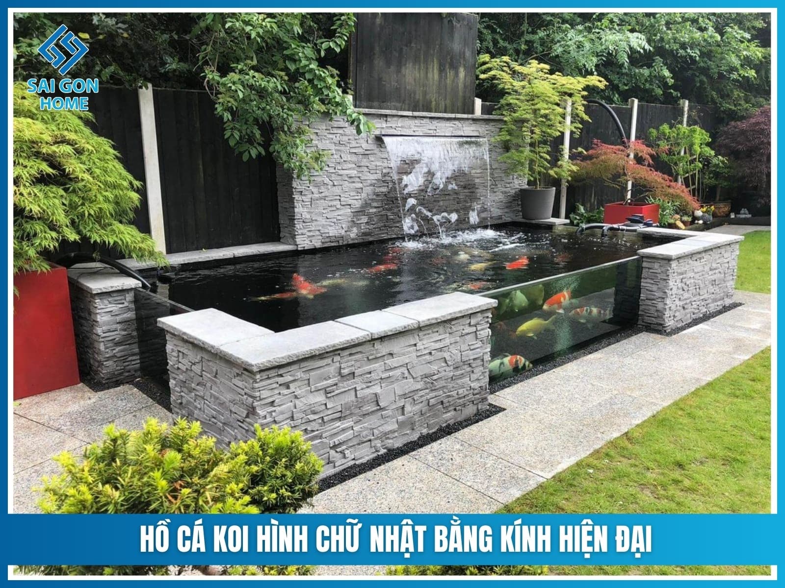 12+ mẫu hồ cá koi hình chữ nhật đẹp hợp PHONG THỦY 11 Hồ cá koi hình chữ nhật bằng kính hiện đại, phù hợp không gian nhỏ