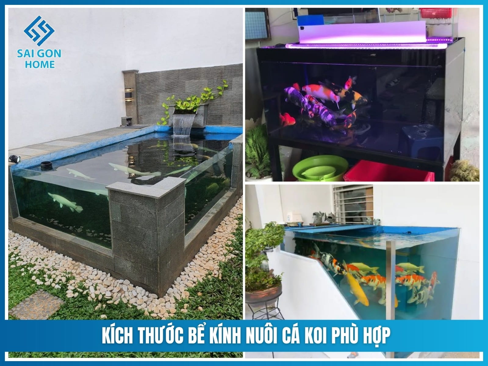 Hướng dẫn nuôi cá koi trong bể kính ĐƠN GIẢN an toàn 9 Kích thước bể kính nuôi cá koi phù hợp