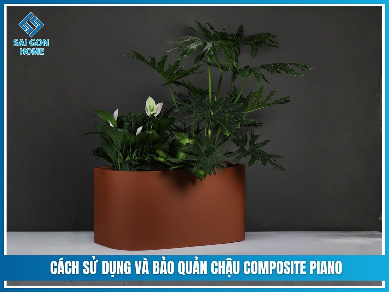 Chậu Composite Piano - BC031 12 Cách sử dụng và bảo quản chậu composite piano