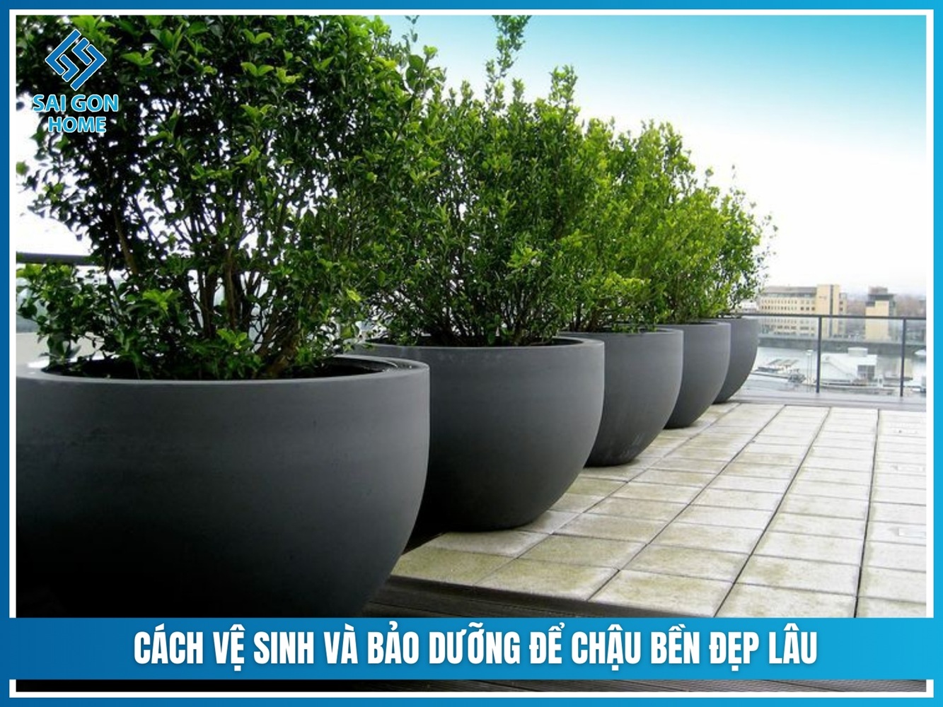 Chậu composite tròn 13 Cách vệ sinh và bảo dưỡng để chậu bền đẹp lâu