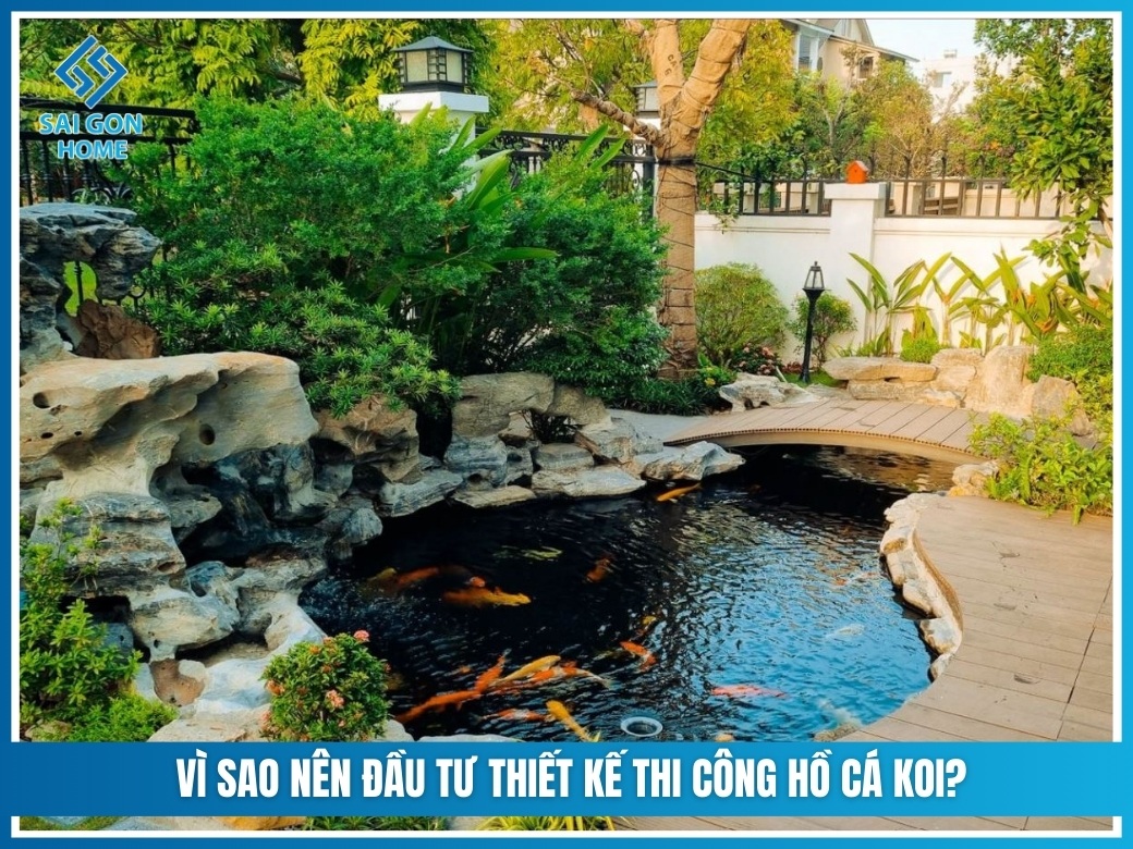 Vì sao nên đầu tư thiết kế thi công hồ cá koi?