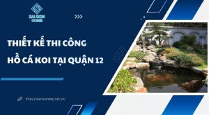 Thiết kế thi công hồ cá koi tại Quận 12 TRỌN GÓI giá rẻ - Sanvuondep.net.vn