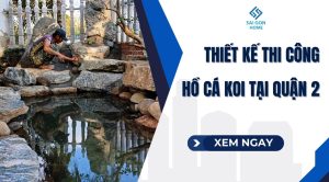 Thiết kế thi công hồ cá koi tại Quận 2 uy tín GIÁ TỐT - Sanvuondep.net.vn