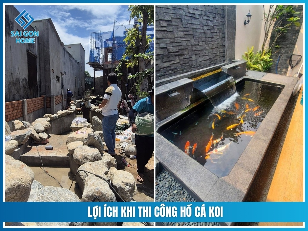 Lợi ích khi thi công hồ cá koi