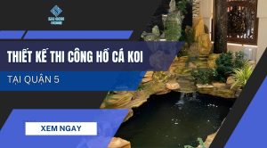 Thiết kế thi công hồ cá koi tại Quận 5 TRỌN GÓI uy tín - Sanvuondep.net.vn