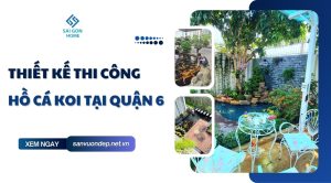 Thiết kế thi công hồ cá koi tại Quận 6 hiện đại GIÁ TỐT - Sanvuondep.net.vn