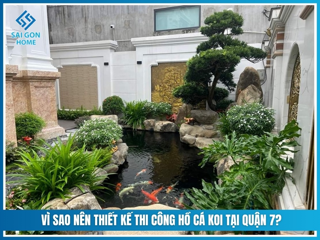 Vì sao nên thiết kế thi công hồ cá koi tại Quận 7?