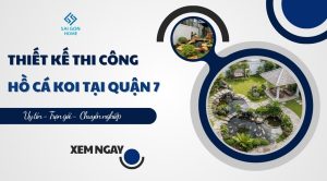 Thiết kế thi công hồ cá koi tại Quận 7 trọn gói GIÁ RẺ - Sanvuondep.net.vn
