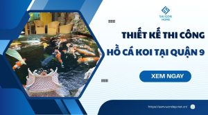 Thiết kế thi công hồ cá koi tại Quận 9 ĐẸP BỀN giá rẻ - Sanvuondep.net.vn