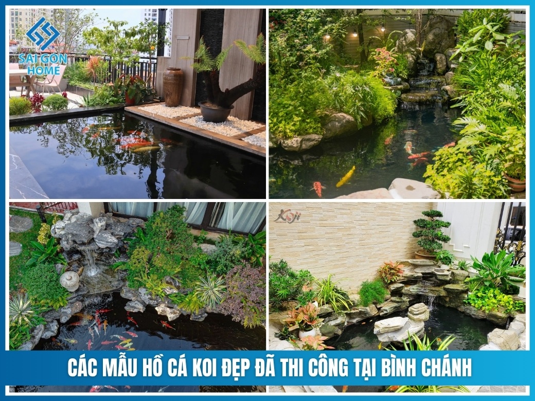 Các mẫu hồ cá koi đẹp đã thi công tại Bình Chánh