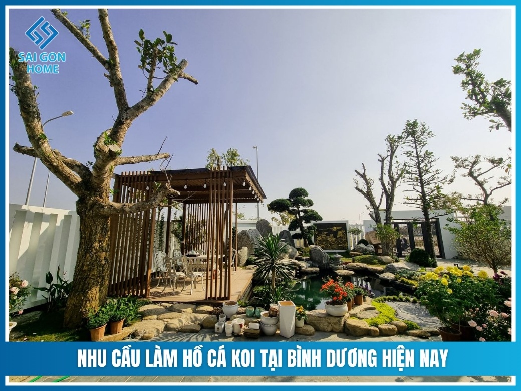 Nhu cầu làm hồ cá koi tại Bình Dương hiện nay