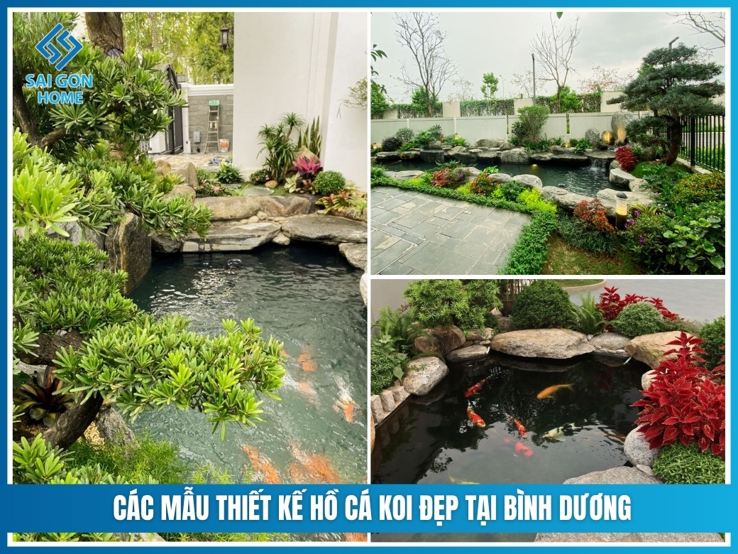 Các mẫu thiết kế hồ cá koi đẹp tại Bình Dương