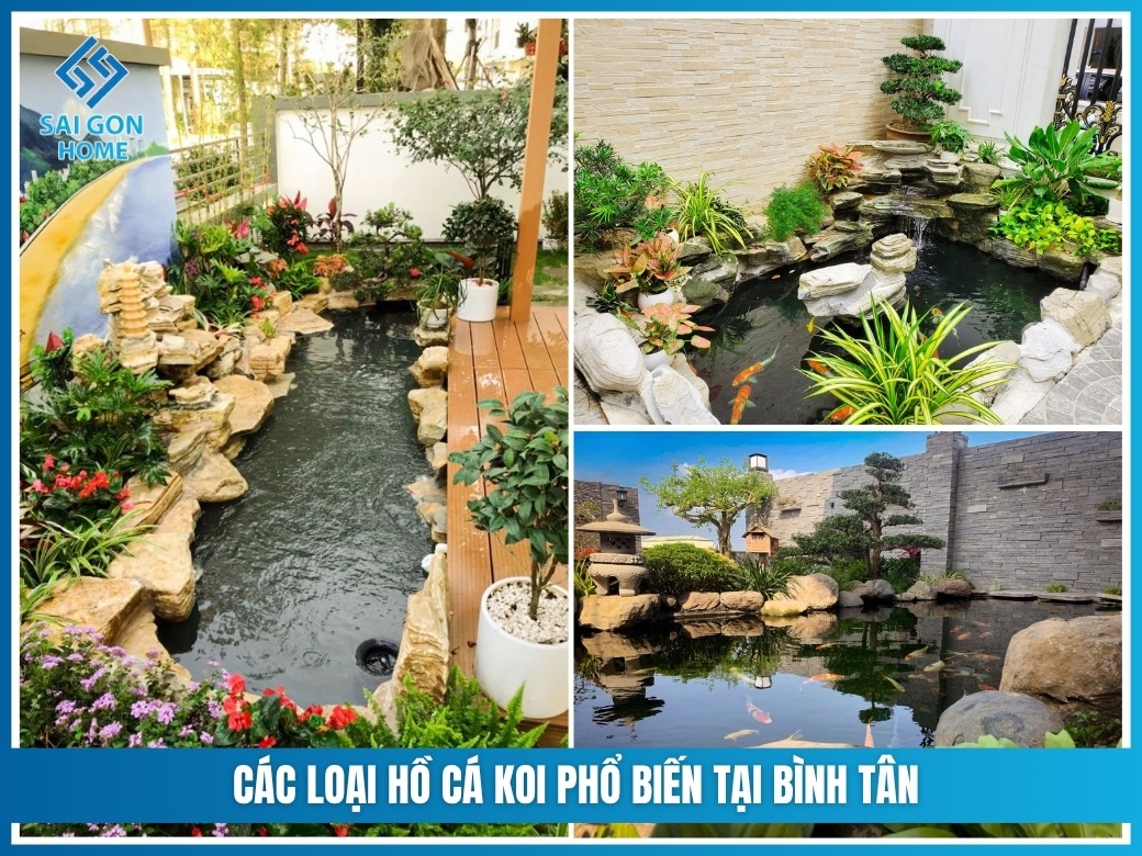 Các loại hồ cá koi phổ biến tại Bình Tân