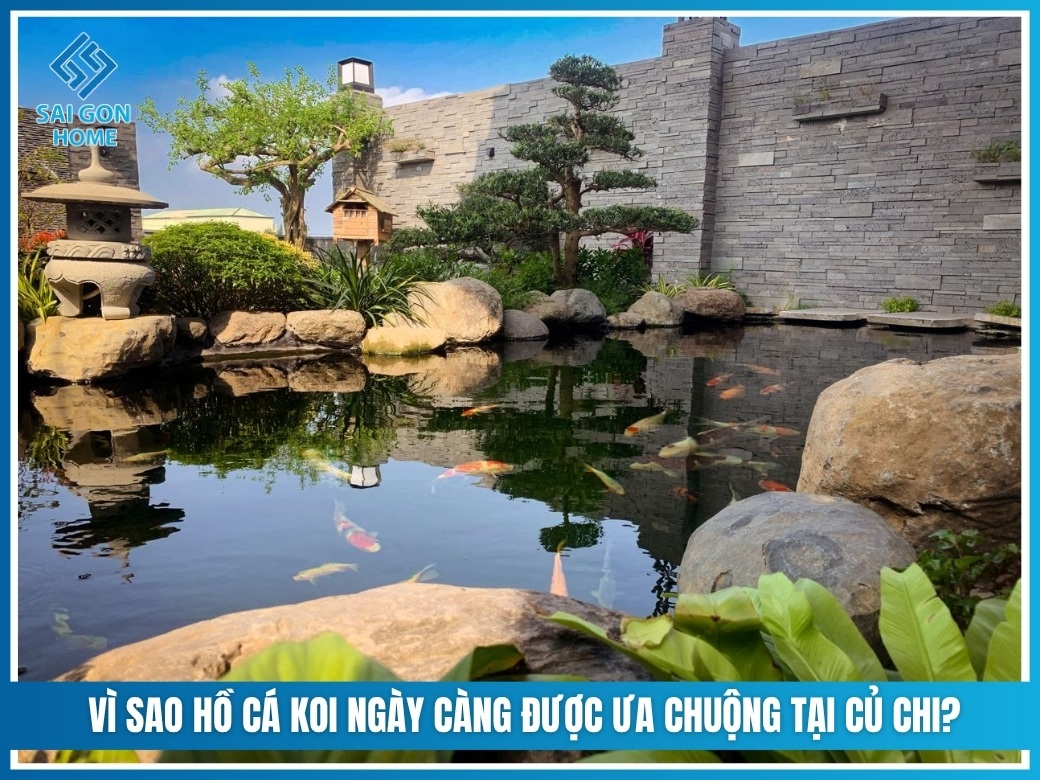 Vì sao hồ cá koi ngày càng được ưa chuộng tại Củ Chi?