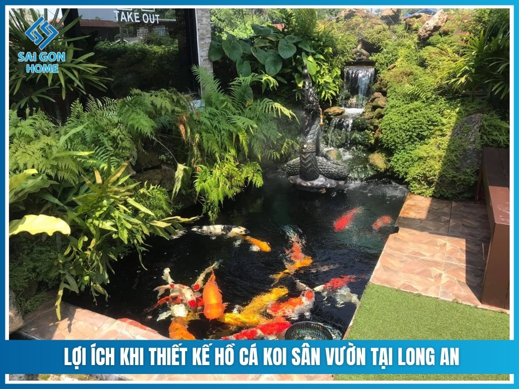 Lợi ích khi thiết kế hồ cá koi sân vườn tại Long An