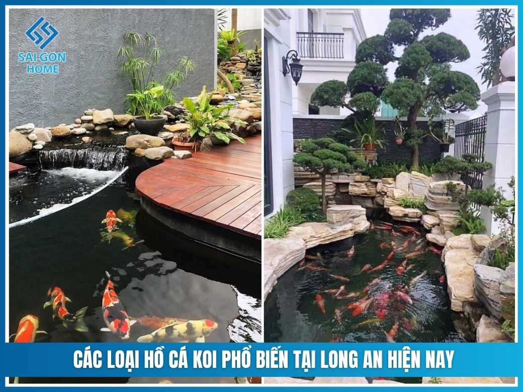 Các loại hồ cá koi phổ biến tại Long An hiện nay