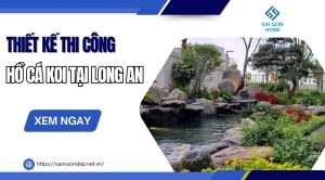 Thiết kế thi công hồ cá koi tại Long An trọn gói theo YÊU CẦU - Sanvuondep.net.vn