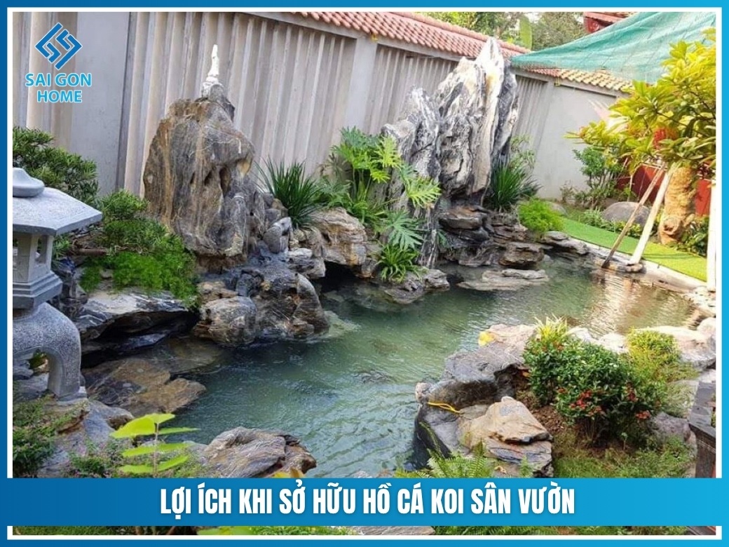 Lợi ích khi sở hữu hồ cá koi sân vườn