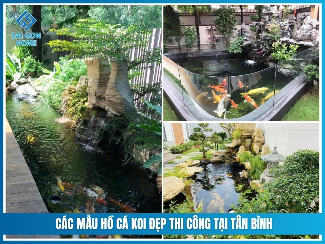 Các mẫu hồ cá koi đẹp thi công tại Tân Bình