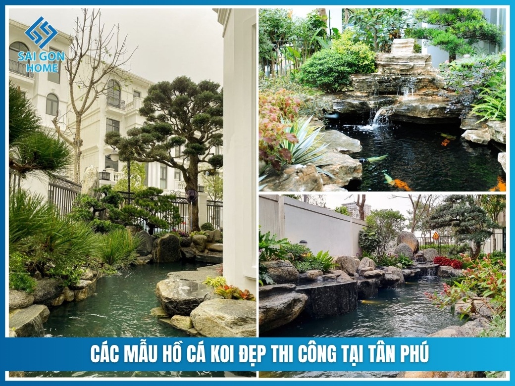 Các mẫu hồ cá koi đẹp thi công tại Tân Phú